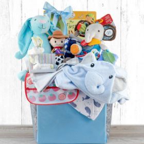 Congratulations: Baby Boy Gift Basket