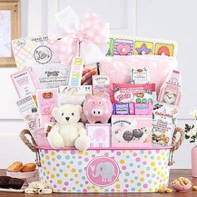 Ultimate Baby: Baby Girl Gift Basket