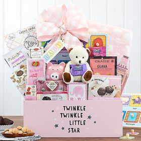 Welcome The Little One:  Baby Girl Gift Basket